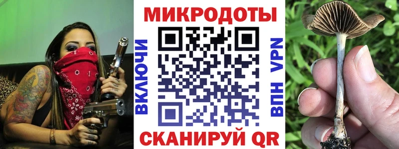 ОМГ ОМГ зеркало  Керчь  Псилоцибиновые грибы Cubensis 