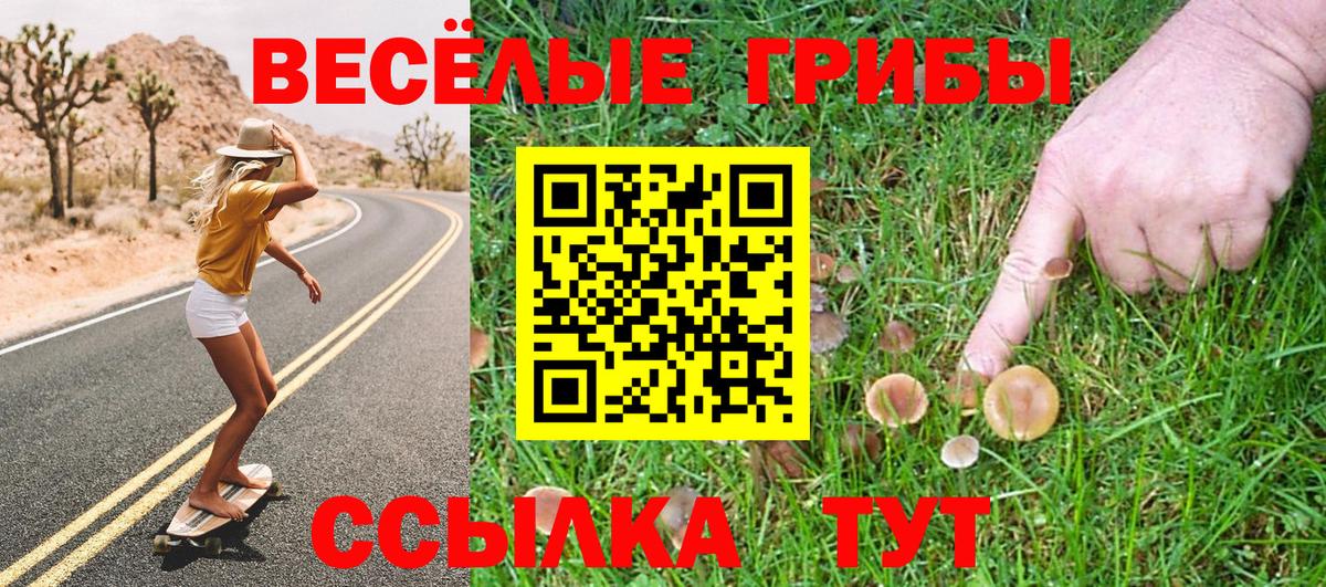 Псилоцибиновые грибы Psilocybine cubensis Керчь