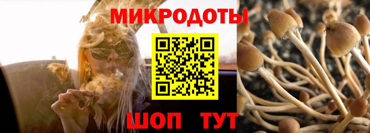 Керчь  Псилоцибиновые грибы Cubensis  Вход с VPN 